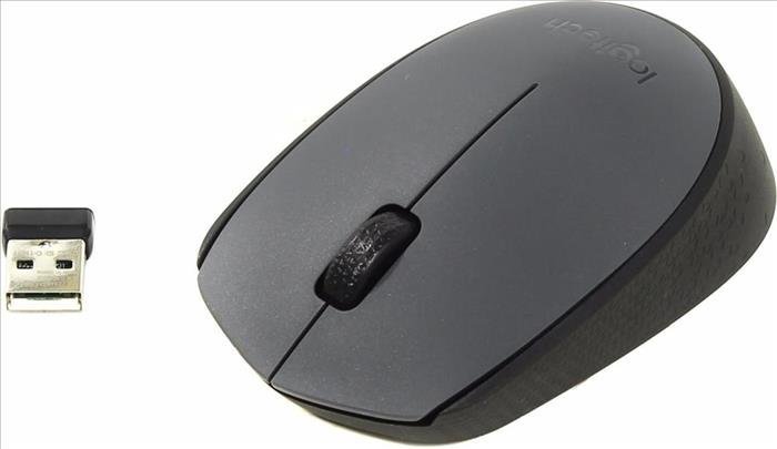 Mouse Logitech M170 Inalámbrico Negro